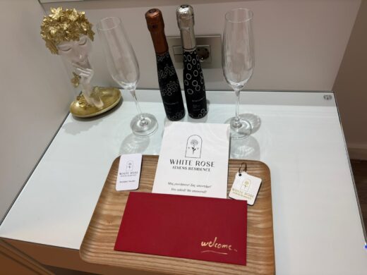 Deluxe Suite 301 - Photo 1