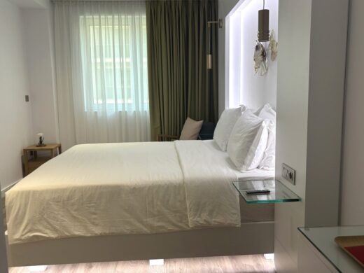 Lux Suite 303 - Photo 4